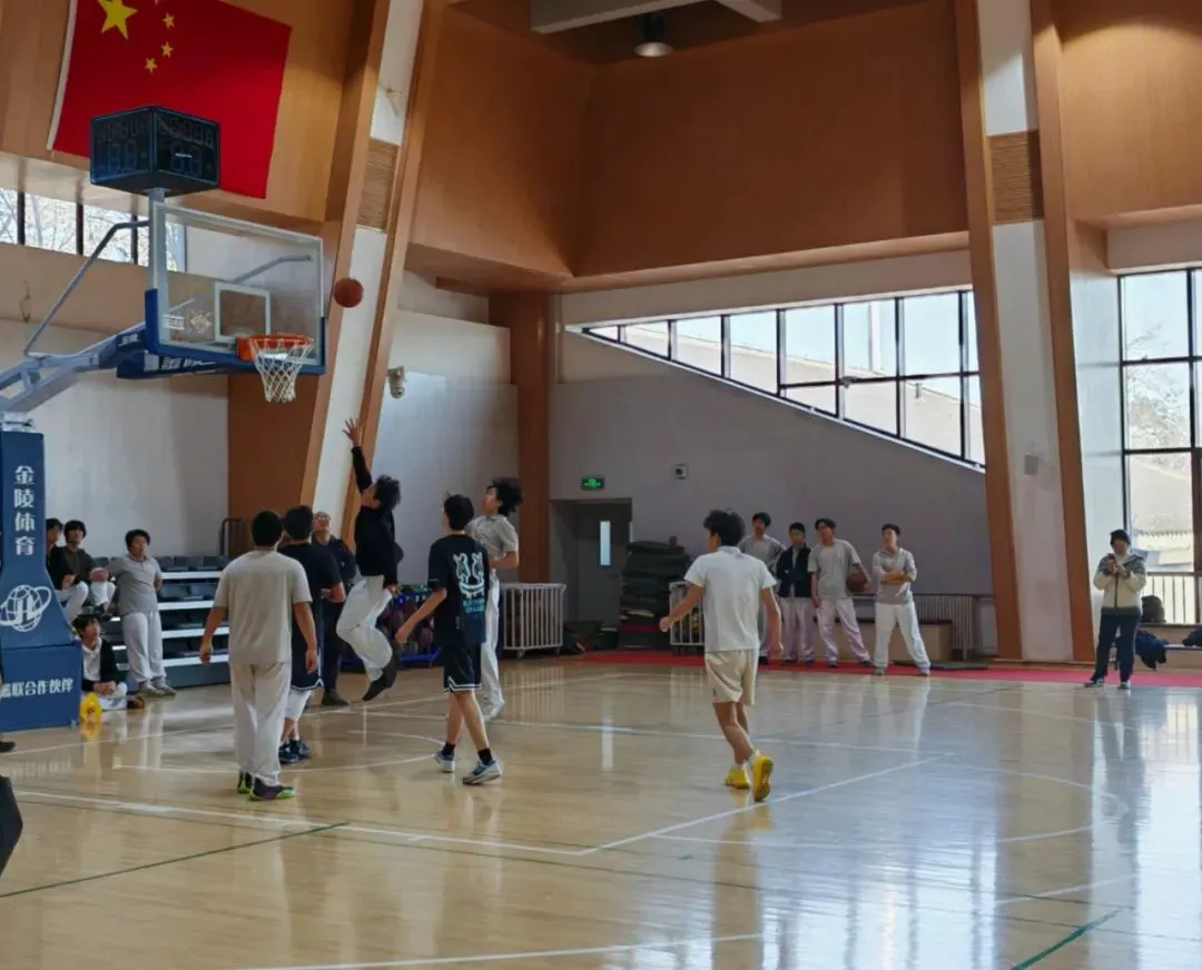 如何通过数据分析优化篮板训练效果?_1
